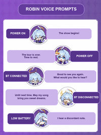 Robin voice prompt guide