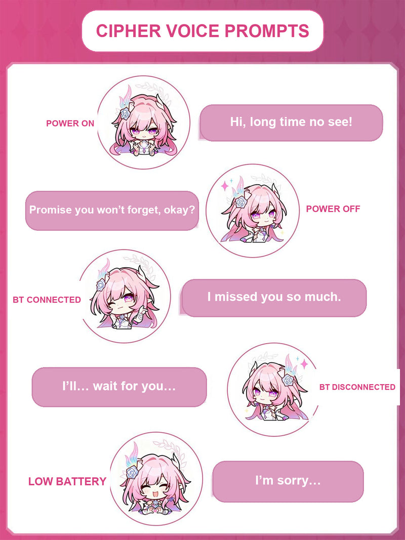 Cipher custom English voice prompt guide