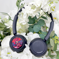 Custom Anime Display Headphones