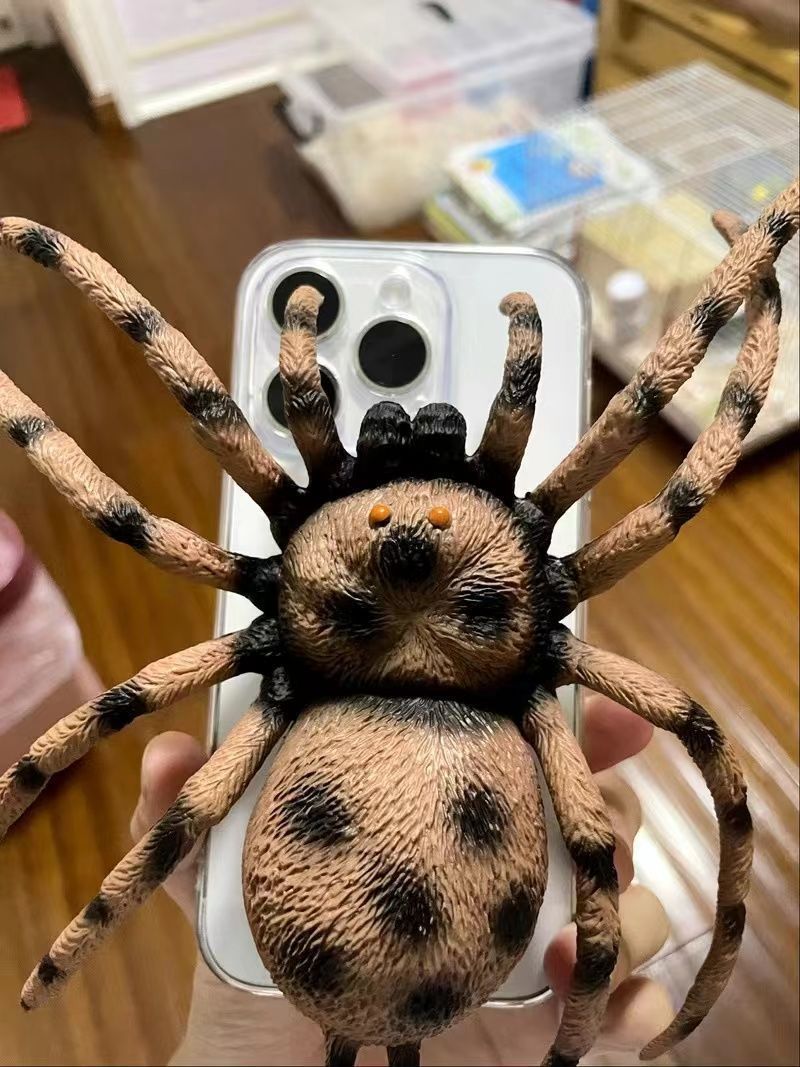 3D Spider Novelty Phone Case