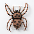 3D Spider Novelty Phone Case