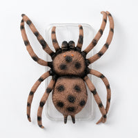 3D Spider Novelty Phone Case