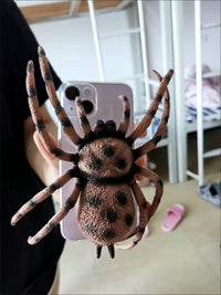 3D Spider Novelty Phone Case