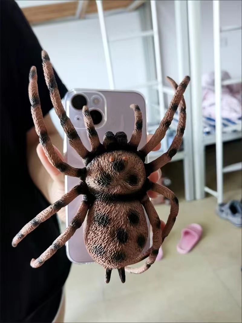 3D Spider Novelty Phone Case