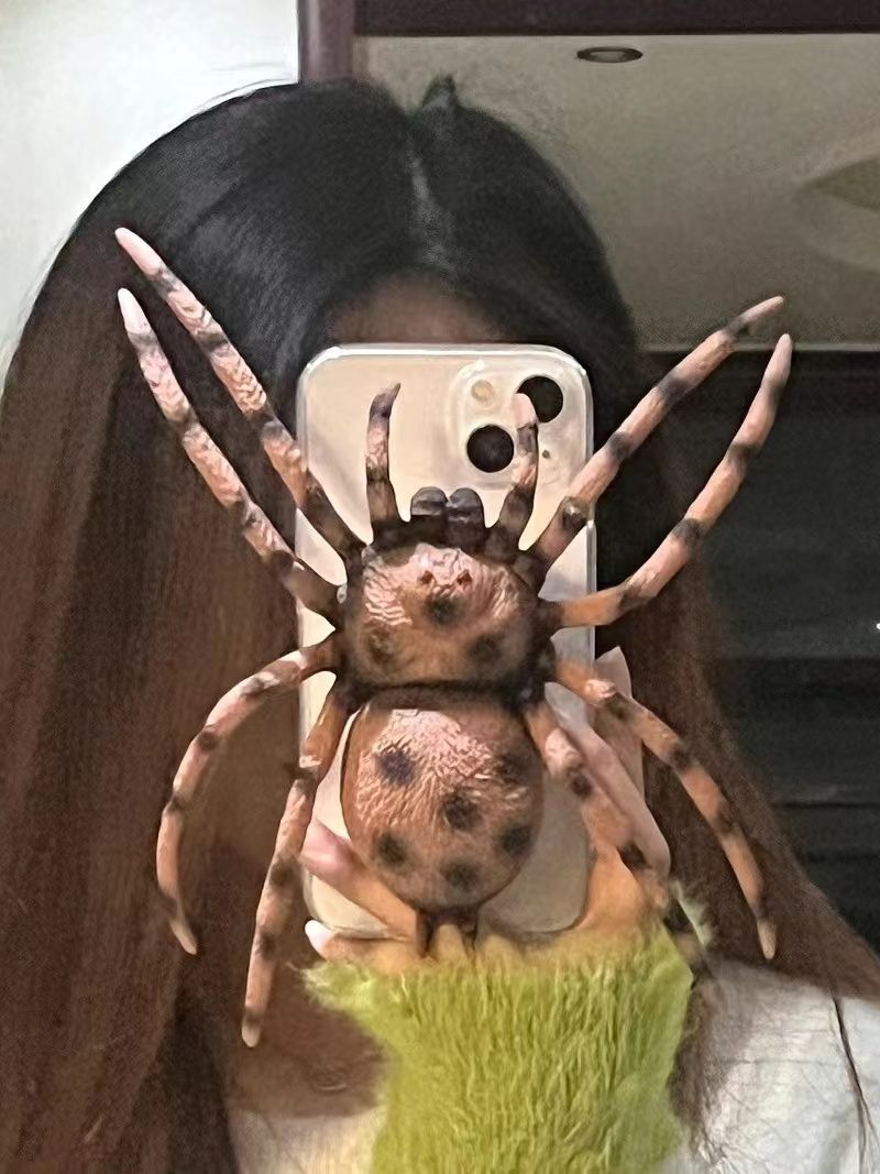 3D Spider Novelty Phone Case