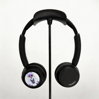 Custom Anime Display Headphones